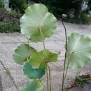 주필거미박물관 이미지