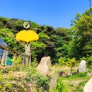 말하는 은행나무 이미지