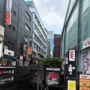 [서울 종로 피커스] 공휴일 여유롭게 즐기는 실내 클라이밍 체험 후기