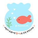 May December | W30-2. 대전 본식 드레스 투어 후기 | ② 르메리