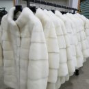 골드차이나 이미지