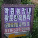 선화민박 이미지