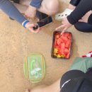 정선전씨 효부문 | 정선 하이원 워터월드 성수기 내돈내산 후기