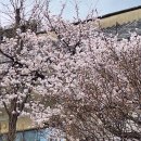 벌 관리 이미지