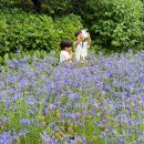 우리꽃식물원 | 향남역에서 10분, 화성 우리꽃 식물원 방문 후기