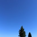 호수세탁소 이미지