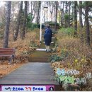 망곡산 체육공원 이미지
