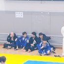 와이즈주짓수