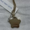 폴라리스(polaris) | 하울| 버스데이블루 폴라리스 네크리스 Polaris Necklace (골드) 후기/리뷰