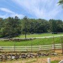 쪽섬목장 이미지