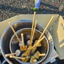 비타민캠핑장 이미지