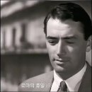 Yesterday once more / (배경 1953년) 로마의 휴일 이미지