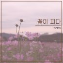 꽃이피다 이미지