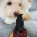 헤이브로 이미지