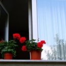 마음의 문 이미지