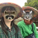 대만 가오슝, 타이난, 아리산 여행 DAY3
