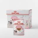 로얄캐닌코리아유한회사 이미지