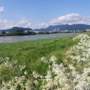 영구농장 이미지