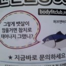 스시덴참치