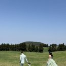 끝내기 6탄/제주 웨딩스냅 마리에제주 X 디어러브페이지 후기 (with 지니헬퍼 패키지 할인)❥𓂃𓏧 // wedding