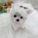 튀는아이들 이미지