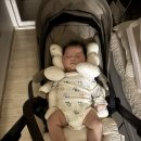 크린팡팡 이미지