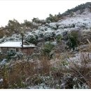 비파농장 이미지