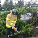 서호동-45 이미지