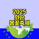 봄꽃 축제 피크 2025 화순 가이드