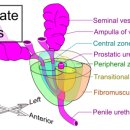명비뇨기과의원 이미지
