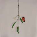 황제유통 이미지