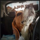 CU 매탄점 이미지