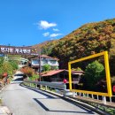 명지령계곡펜션 사창리 행복점 이미지