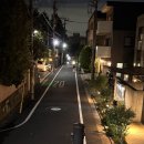 이야기81-인연 | [작담이 통신 #81] 도쿄 여행기