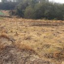 천보농장 이미지