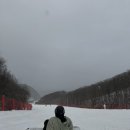 오성여행사 | 25/26시즌 대구에서 하이원 스키장 셔틀버스로 당일치기 (with 보드초보 가르치기)