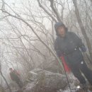 도남수산 이미지