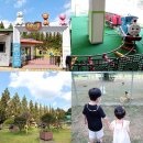 지율농장 인공수정소 | 담양 아이와 함께 가볼만한곳 테테루테마파크