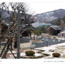 시니어 바리스타 이미지