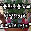 문화초병설유치원 이미지
