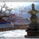 순천-38호 Daum카페