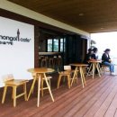 묵호등대바람의언덕논골카페 이미지