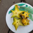 야동농장 이미지