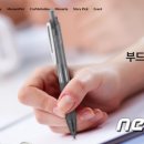 모나미주