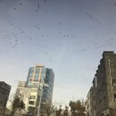 오로라사진관청주오송점 이미지