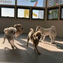 레츠개릿 이미지