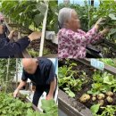 부승노인전문요양원(학성점) 네이버블로그