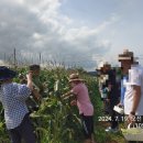 임상호농장 이미지