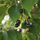 다찌스테이 이미지