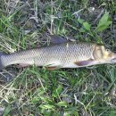 주)보성 이미지